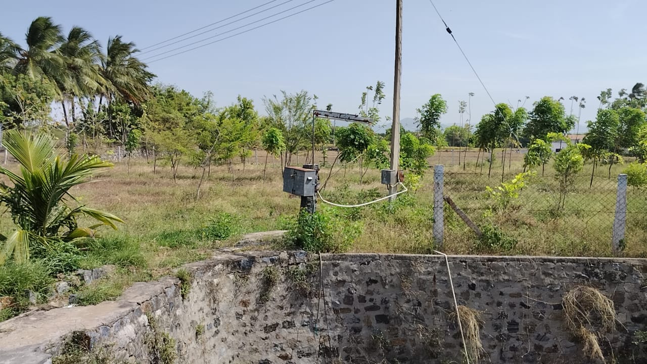 Organic Vegetable Box