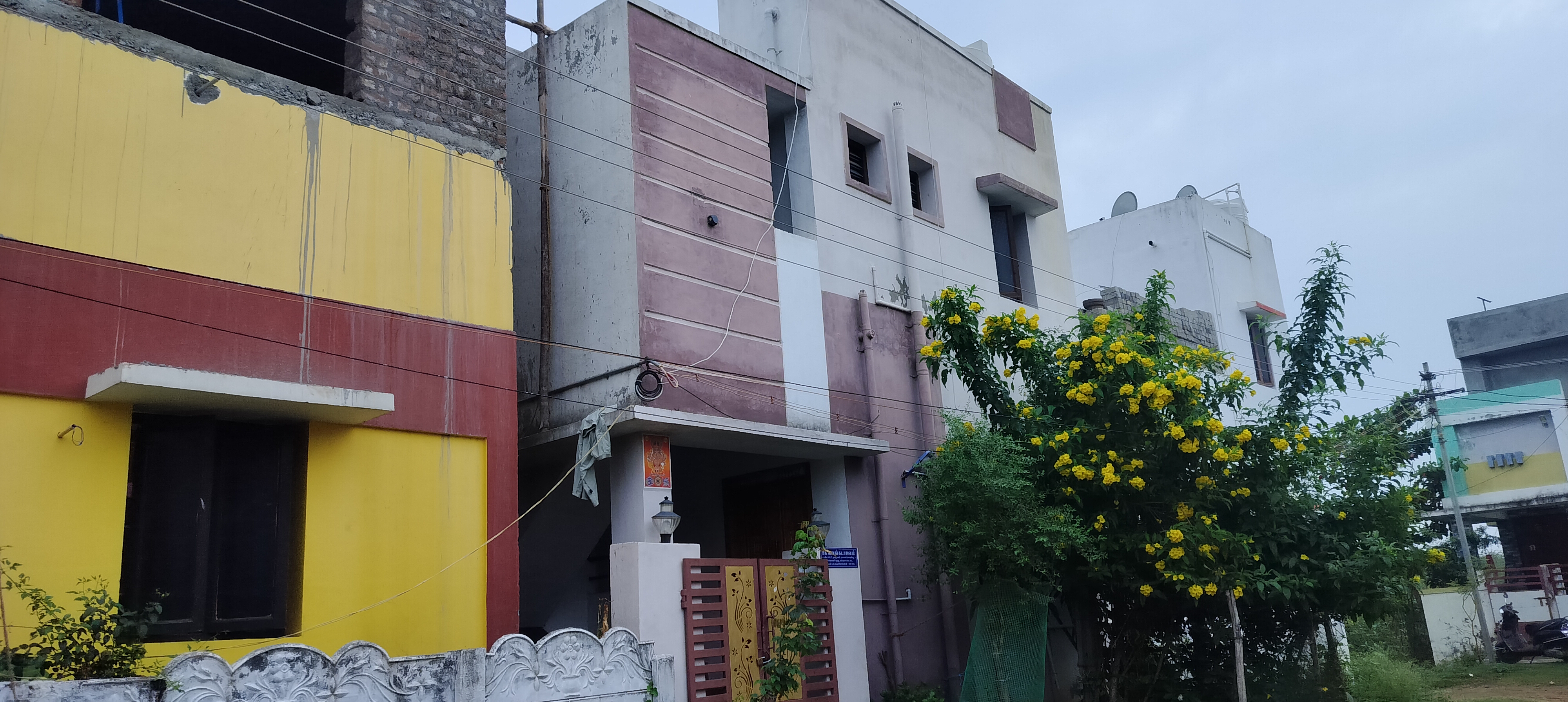 Organic Vegetable Box