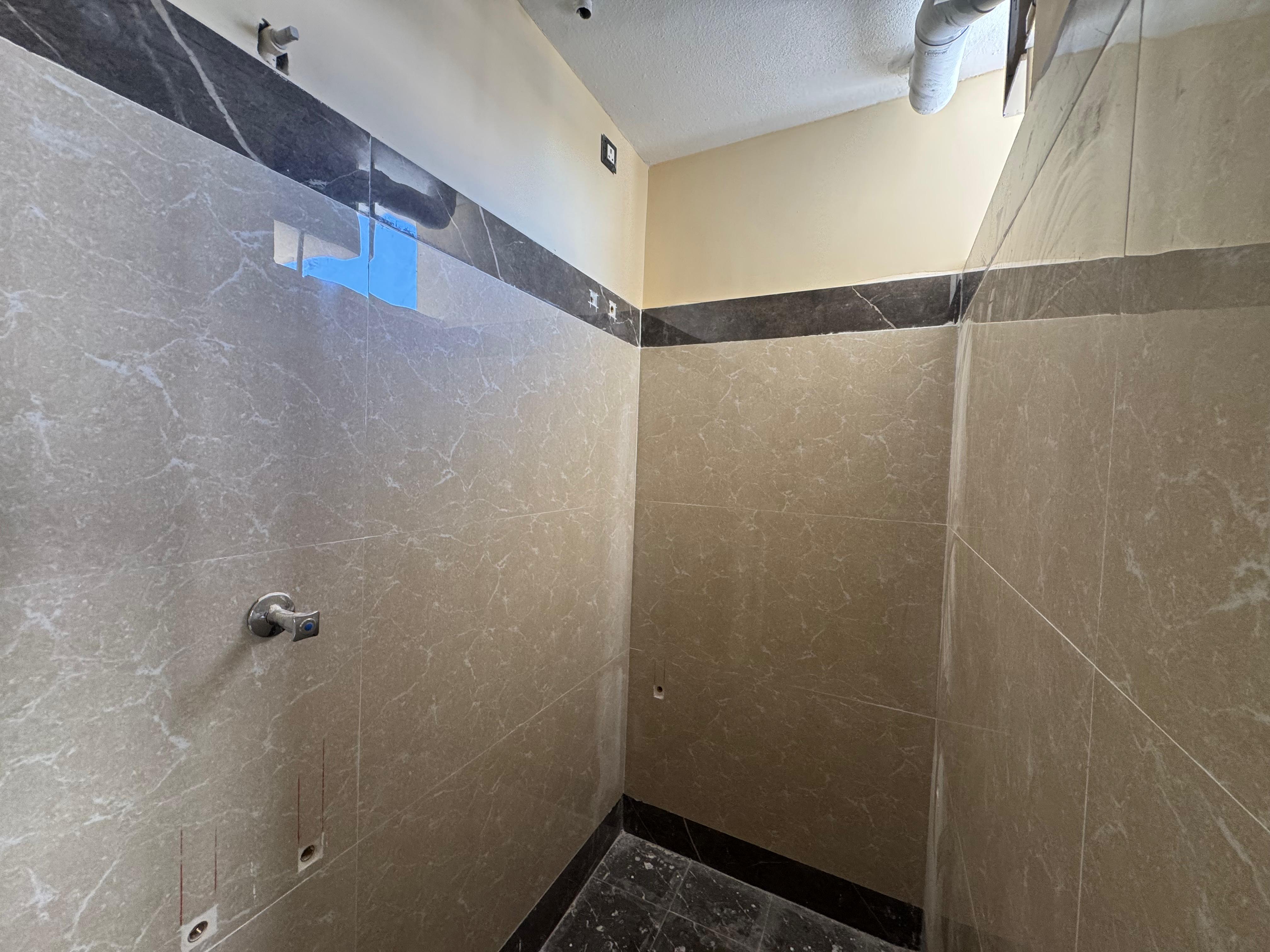 Organic Vegetable Box