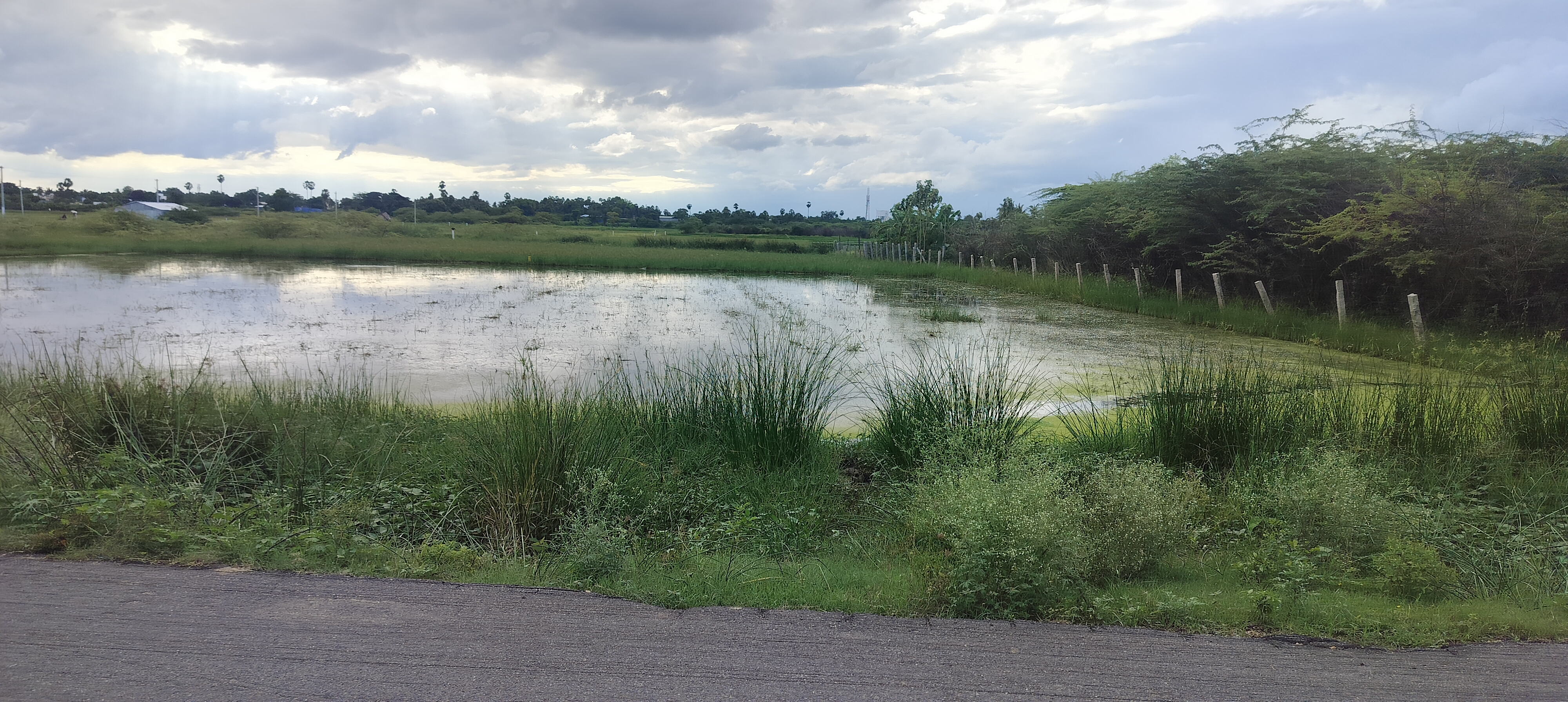 LAND FOR SALE IN SAMAYAPURAM TEMPLE NEAR