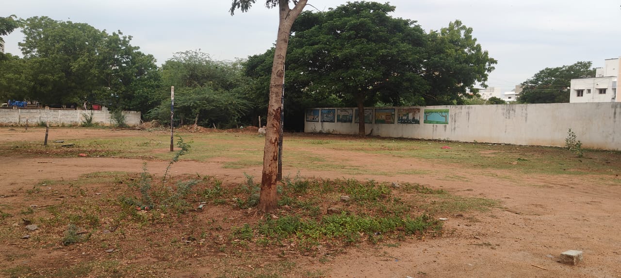 Organic Vegetable Box