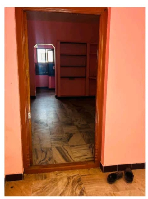 Organic Vegetable Box