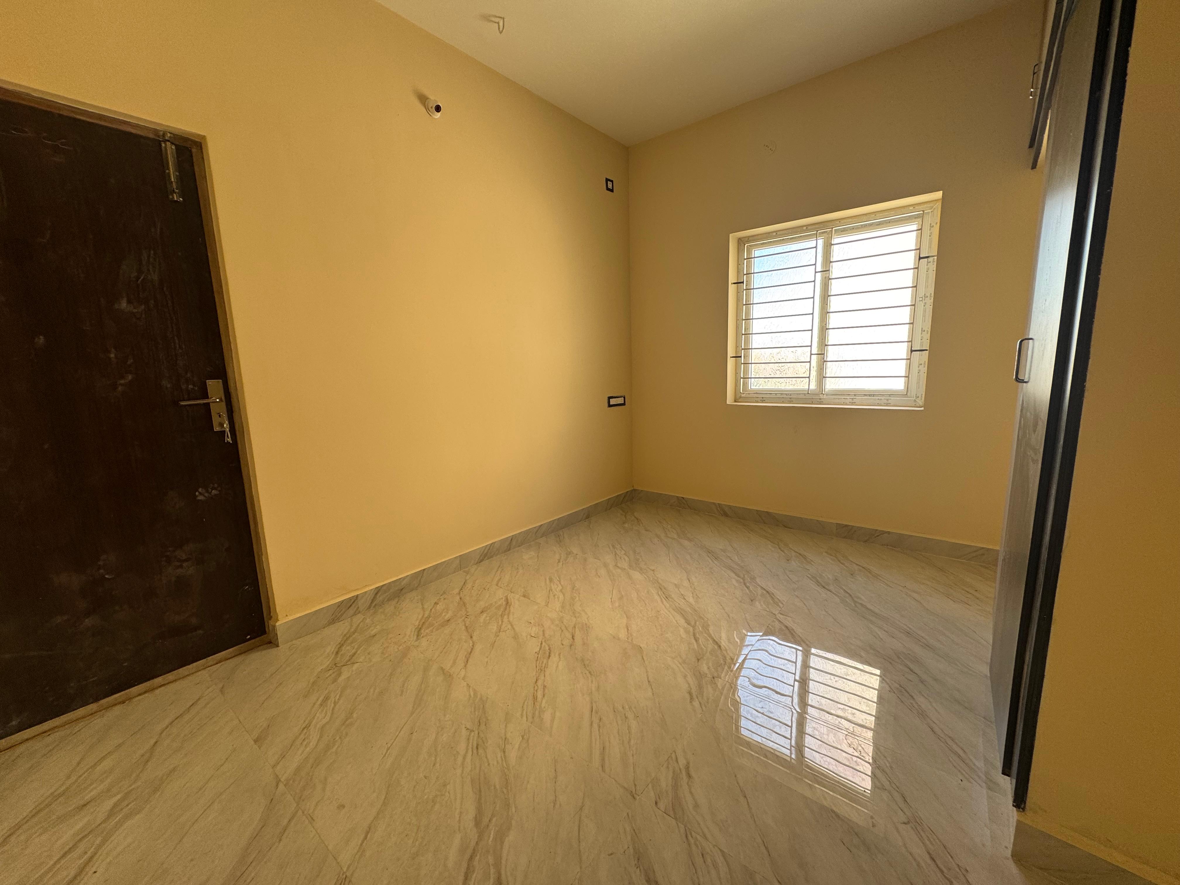 Organic Vegetable Box