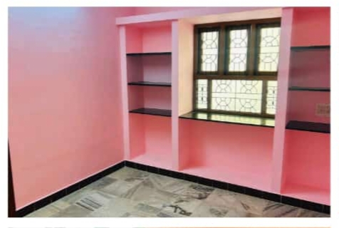 Organic Vegetable Box