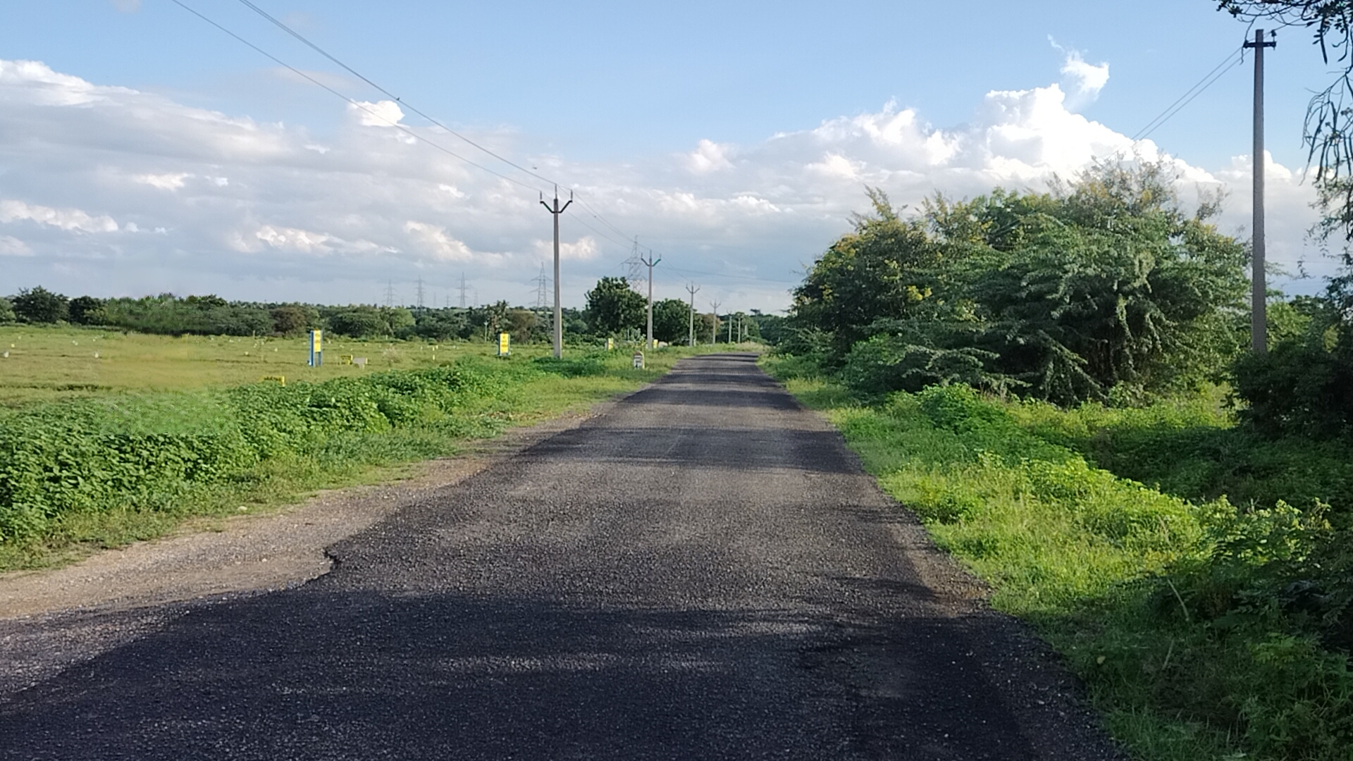 Organic Vegetable Box