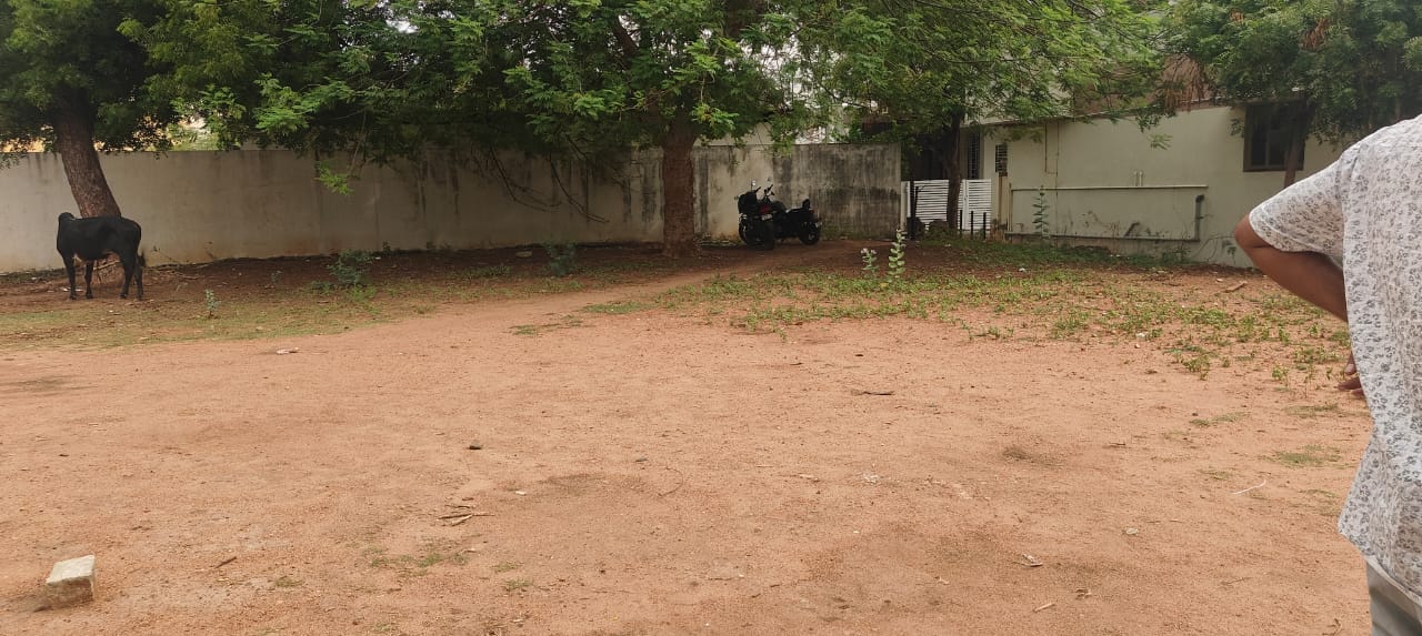 Organic Vegetable Box