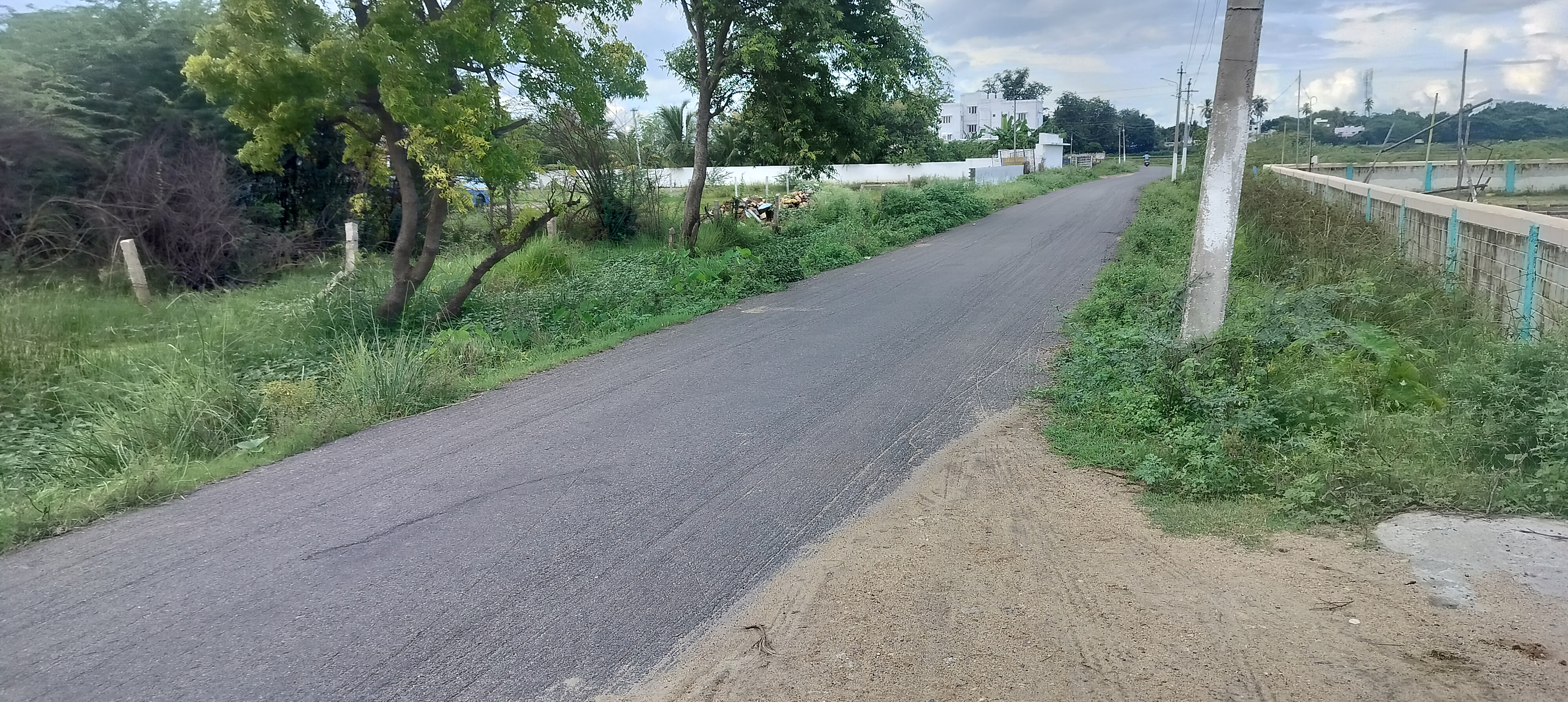 Organic Vegetable Box