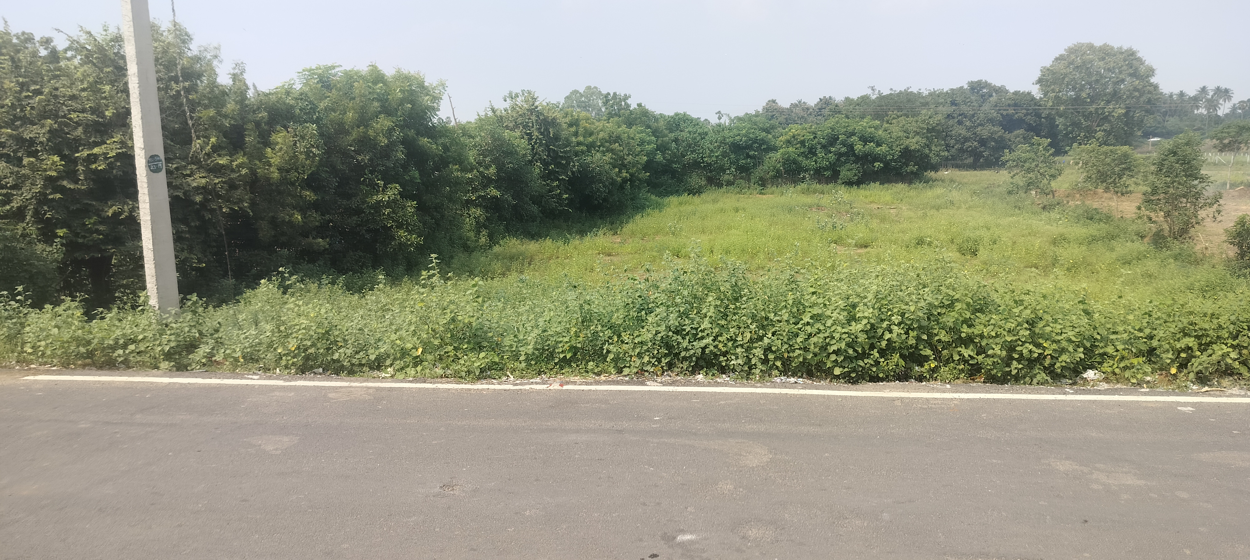 Organic Vegetable Box