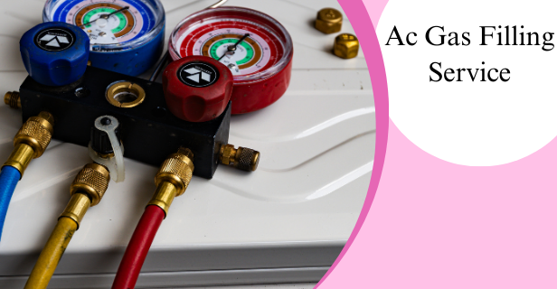 Organic Vegetable Box