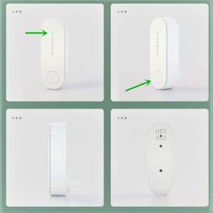 Organic Vegetable Box