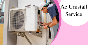 Organic Vegetable Box