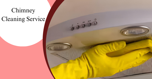 Organic Vegetable Box