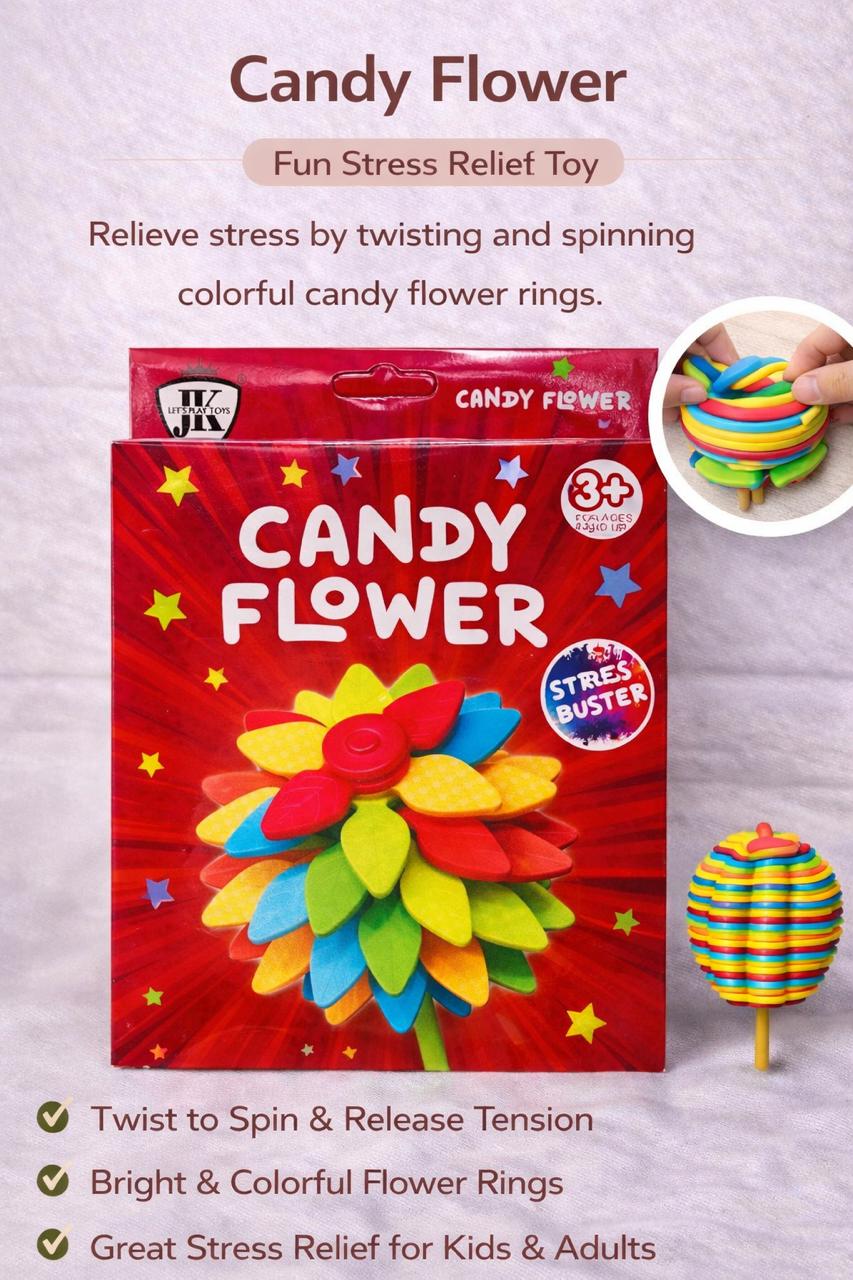 Organic Vegetable Box