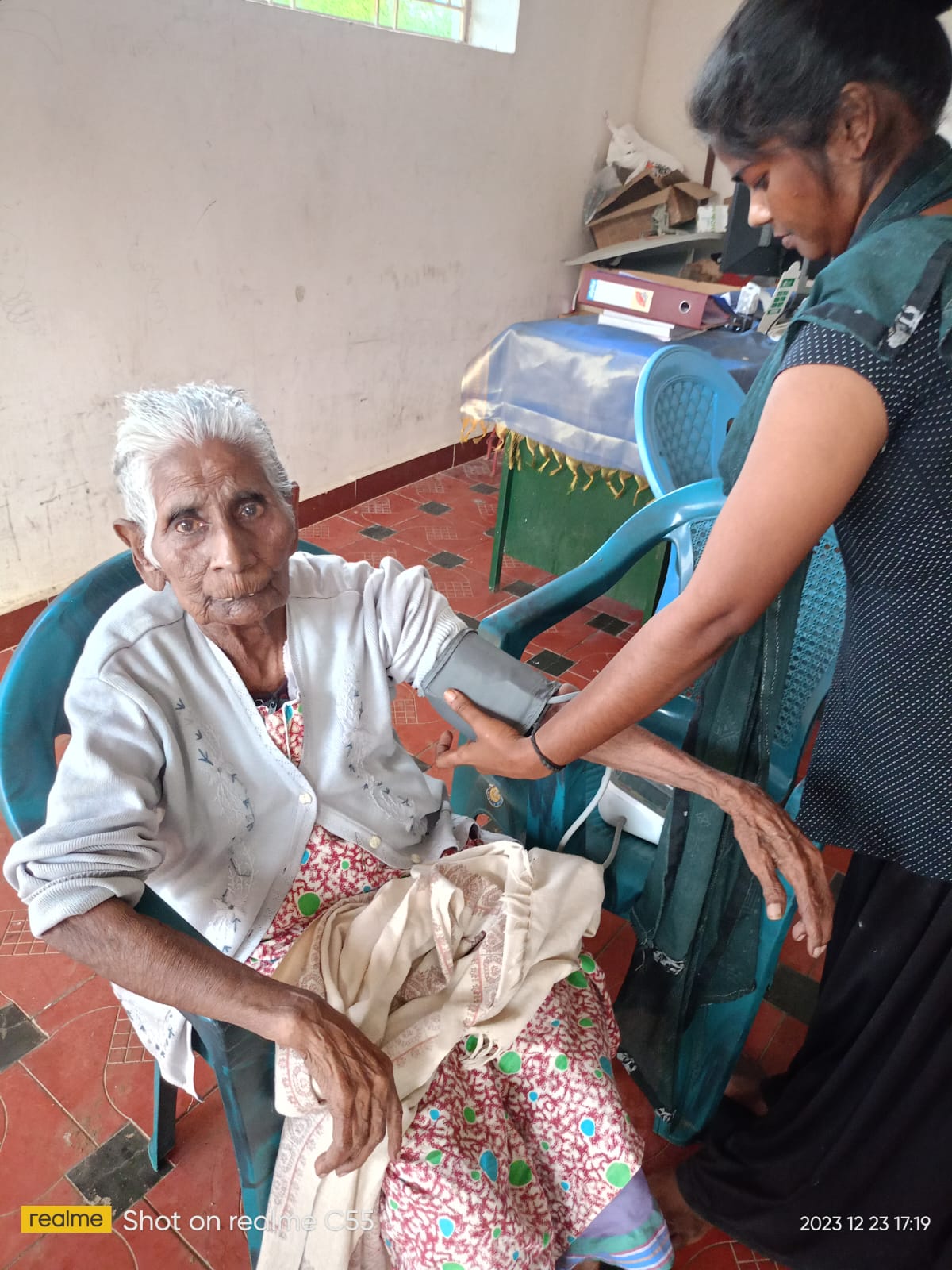 Organic Vegetable Box