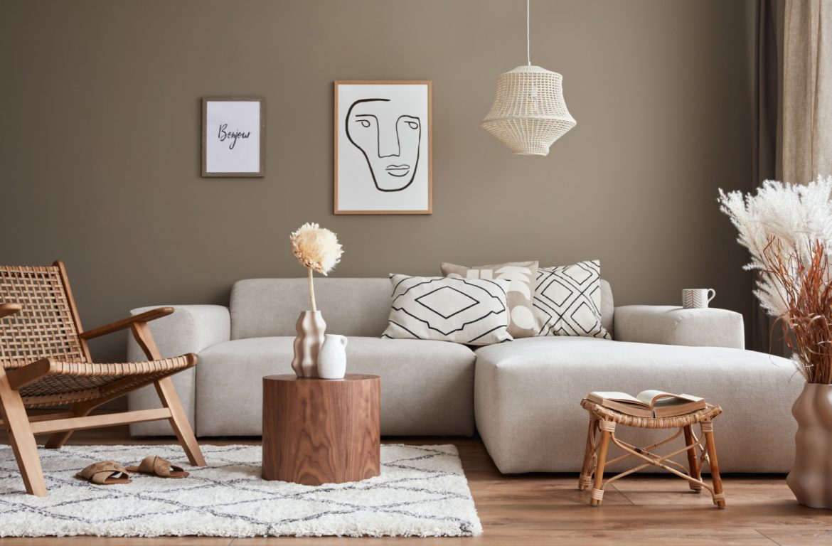 collection-image