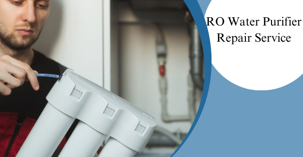 Organic Vegetable Box