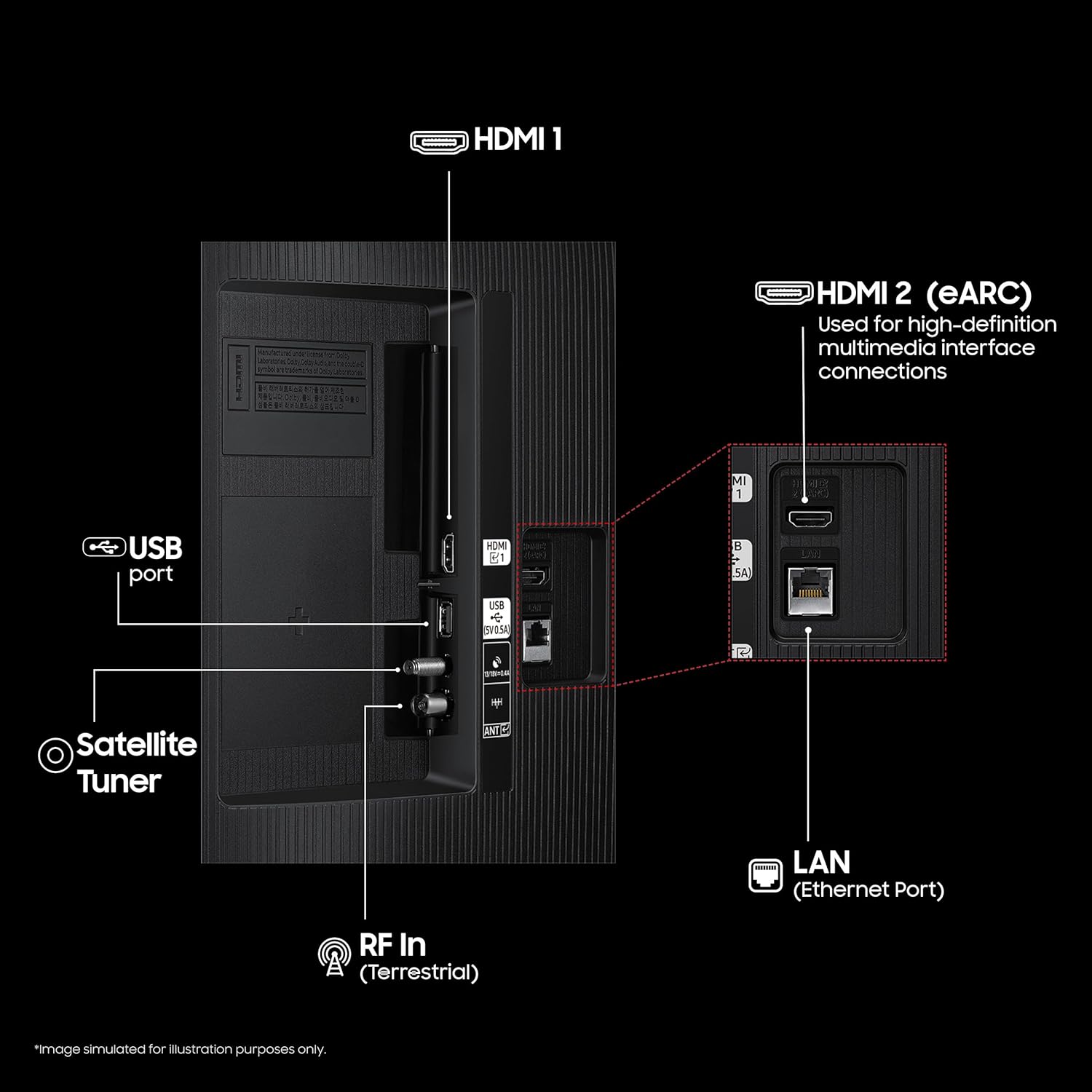 Organic Vegetable Box