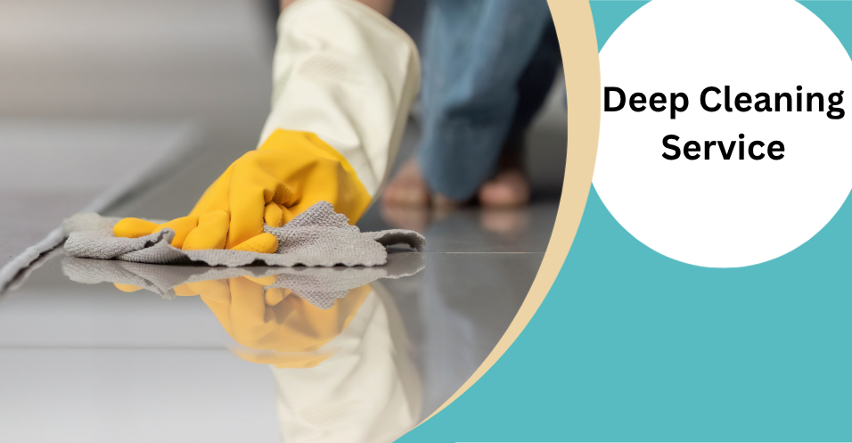 Organic Vegetable Box