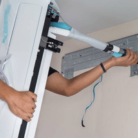 Organic Vegetable Box