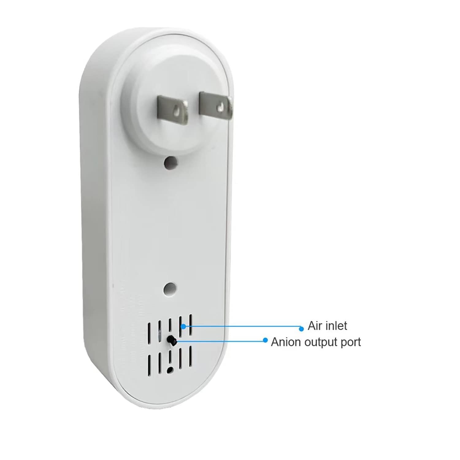 Organic Vegetable Box