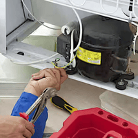 Organic Vegetable Box