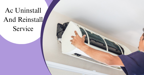 Organic Vegetable Box