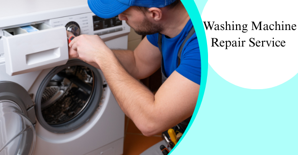 Organic Vegetable Box