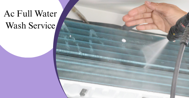 Organic Vegetable Box