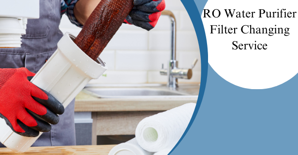 Organic Vegetable Box