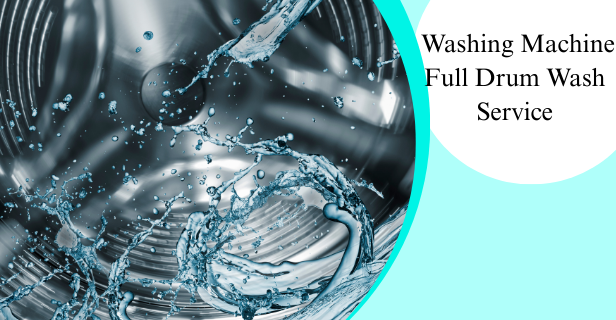 Organic Vegetable Box