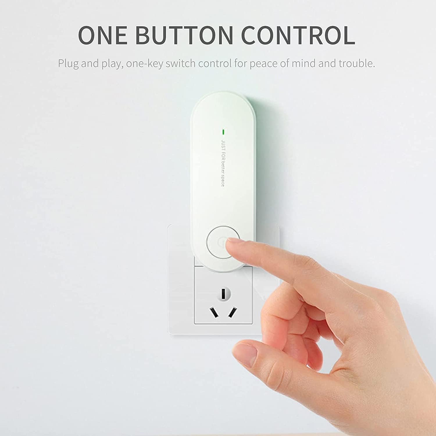 Organic Vegetable Box