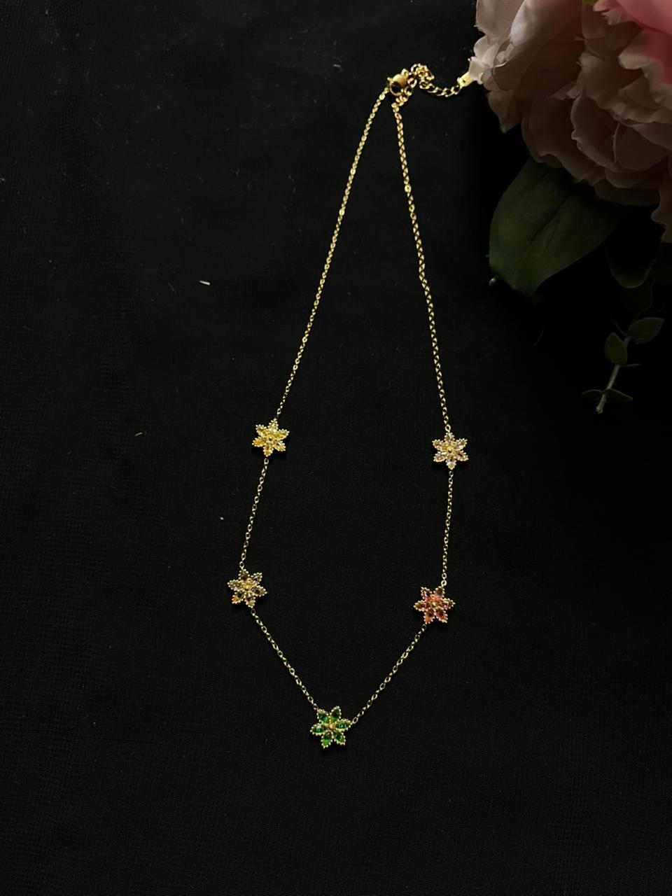 Organic Vegetable Box