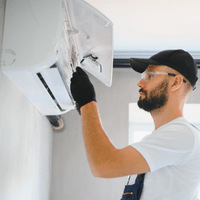 Organic Vegetable Box