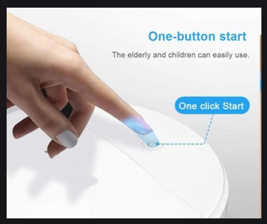 Organic Vegetable Box