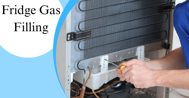 Organic Vegetable Box