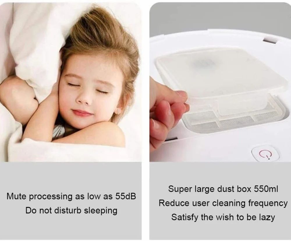 Organic Vegetable Box