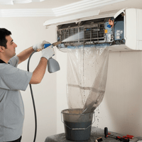 Organic Vegetable Box