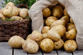 Potato