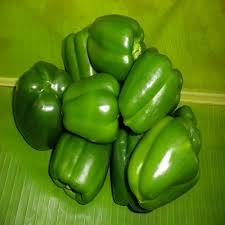 Capsicum
